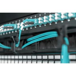 Digitus 1U cable management panel with brush entries 4x
