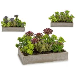 Jardinera Rectangular Gris Surtidos Mod Ibergarden 16X20CM (6 Unidades) Precio: 103.4999999. SKU: B1DLGR5TBQ