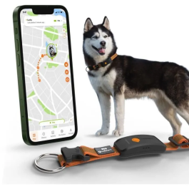 Weenect Collar GPS para perros Dog XT Antena XL Resistente al agua Funciona con suscripción Naranja WEE3770000300789