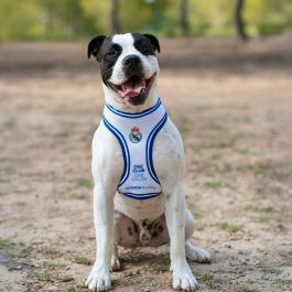 Cerdá Arnés para Perros con Diseño Real Madrid, Talla M-L y Color Azul