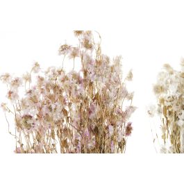 DKD Home Decor Ramo de Flor Seca Blanco y Rosa para Decoración, Pack de 12 Unidades Surtidas, 60 cm Alto x 3 cm Largo x 16 cm Ancho