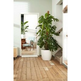 Elho 5643504015041 Juego 2 Maceteros Redondos Bruselas con Ruedas Ø35xH33cm y Ø39xH36.5cm, 55L, Blanco