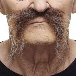 Bigote única Precio: 5.79000004. SKU: B19AFBQYAP