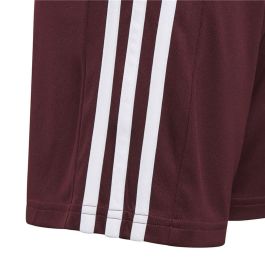 Pantalón Corto Deportivo Adidas Squad 21 Rojo Oscuro