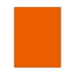 Iris Cartulina 50x65 cm 185 gr Mandarina -25U- Precio: 16.59000024. SKU: S8410482