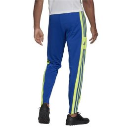 Pantalón de Entrenamiento de Fútbol para Adultos Adidas Squadra 21 Azul Hombre