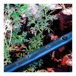 Blue Bird-Altadex Pack con 10 tapones 4mm para riego, negro