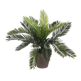 Mica Decorations Palmera Sago (Cyca Revoluta) en Maceta Gris Cerámica 40x40x33cm Precio: 18.49999976. SKU: S7902759