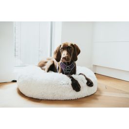 Arnés para Perro Hunter Divo Morado L/XL 79-107 cm Arnés para Perro Hunter Divo Morado L/XL 79-107 cm