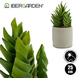 Cactus Plástico Echeveria 25 cm - Ibergarden (6 Unidades) Cactus Plástico Echeveria 25 cm - Ibergarden (6 Unidades)