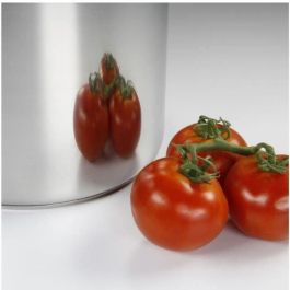 Baumalu Servicio de catering de Acero Inoxidable 30 cm con Tapa de Vidrio, Triple Fondo Difusor para Inducción, Asas Metálicas
