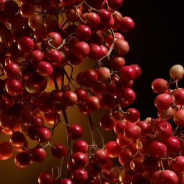 Dolce & Gabbana The One Intense Eau de Parfum Intense Vaporizador 75 ml para Mujer