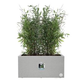 Jardinera Elho Vivo Next Long 60 - Gris - L 59 x B 30 x H 29 cm - interior/exterior - 100% reciclado