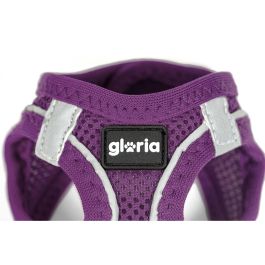 Gloria Arnés-Vestido Air Mesh Trek Star Morado XXS 24-26 cm