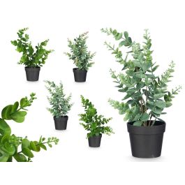 Maceta Planta Hoja Bola Mate Brillo Surtidos Col Ibergarden 16X35CM (12 Unidades) Precio: 36.58999949. SKU: B13A96KCY2