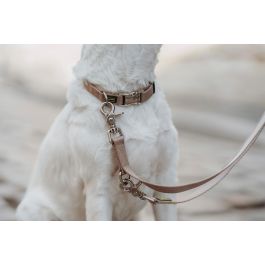 Collar para Perro Hunter Inari Beige XL 45-65 cm Precio: 11.68999997. SKU: B1E9Z4SDB9