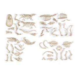 Clementoni Archéo Ludic: Excavación de Fósiles de Dinosaurios (T-Rex, Triceratops) y Mamut - Kit de Ciencia y Juego Paleontológico Clementoni Archéo Ludic: Excavación de Fósiles de Dinosaurios (T-Rex, Triceratops) y Mamut - Kit de Ciencia y Juego Paleontológico