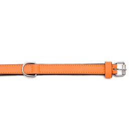 Collar Piel Acolchado 30 cm X 15 mm Naranja