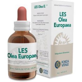 Les Olea Europea Olivo 50Ml. Les Olea Europea Olivo 50Ml. Precio: 16.5899998. SKU: B1335B7QNW