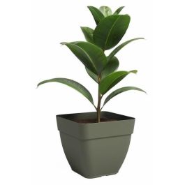 Maceta - ARTEVASI - CAPRI CAMPANA - Cuadrada - Verde seco - L36,5 x P36,5 x H33,5 cm Maceta - ARTEVASI - CAPRI CAMPANA - Cuadrada - Verde seco - L36,5 x P36,5 x H33,5 cm