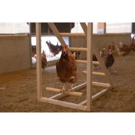 Kerbl KER4018653390924 Torre Trepadora para Gallinas con Columpio y Escalera Robusta 85 x 55 x 76 cm Kerbl KER4018653390924 Torre Trepadora para Gallinas con Columpio y Escalera Robusta 85 x 55 x 76 cm