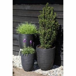 Capi Europe AUC8716443061073 Florero bajo elegante RIB NL 46 x 58 cm Negro Capi Europe AUC8716443061073 Florero bajo elegante RIB NL 46 x 58 cm Negro