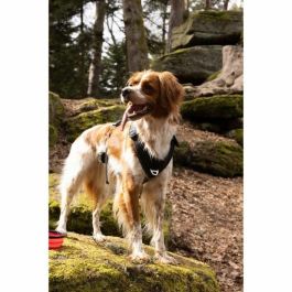 Cani C Gear Arnés para perros SYMBIOZ M Negro / Azul AUC3760402170295