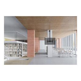 Soporte de Mesa para Pantalla Neomounts CL35-440BL16L 70" 37" 50 kg