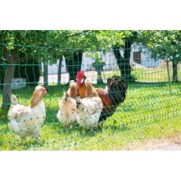 Red para aves de corral - KERBL - 15 m - 106 cm - Doble punta - Verde