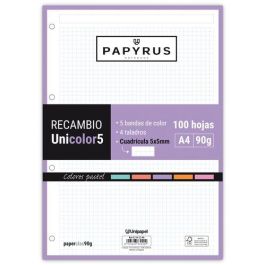 Recambio Papyrus Unicolor5 A4 100H 90G 4 Taladros Cuad.5X5 Colores Pastel 24 unidades Precio: 91.50000035. SKU: B17B4RFA2K