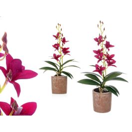 Maceta Terracota Flor Morada Ibergarden 10X50CM (6 Unidades) Precio: 37.50000056. SKU: B1HVNT42CY