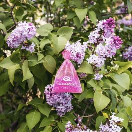 Ambientador para Coche Dr Marcus Fresh Bag Chicle Fragancia Bolsita Ambientador para Coche Dr Marcus Fresh Bag Chicle Fragancia Bolsita