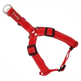 Freedog Arnés Tipo A Nylon Reflect Rojo 20 mm X 51-70 cm Precio: 7.865000254099999. SKU: B1GT9S2F9Z