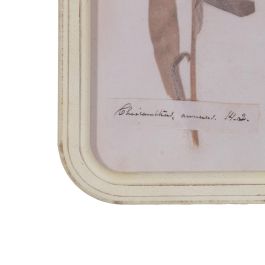 Cuadro Impresión Flores 4/M Dm-Cristal 25 X 2 X 50 cm