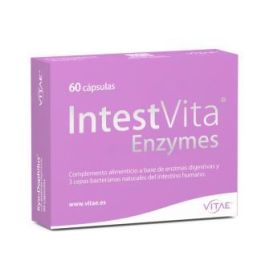 Intestvita Enzymes 60Cap. Intestvita Enzymes 60Cap. Precio: 35.9499998. SKU: B1DB354CED