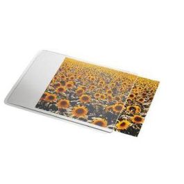 Esselte 67691 Alfombrilla Personalizable para Ratón, Transparente/Blanco, 240x190mm Precio: 15.68999982. SKU: B1GG65FMVP