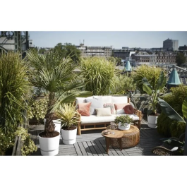 Elho Maceta Redonda Greenville 25 - Exterior - Ø 24.48 x H 23.31 cm - Blanco