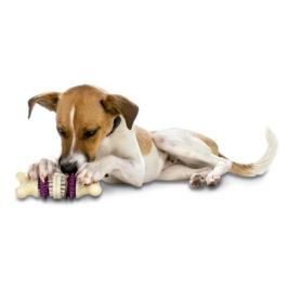 Petsafe Busy Buddy Bristle Bone Talla M