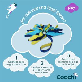 Coachi Tuggi Spider Juguete para Perros y Cachorros de Adiestramiento y Recompensa, Resistente para Tirar y Evitar Mordiscos Azul-Lima-Azul Claro