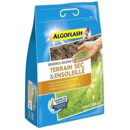 Semillas de césped Dry Sunny Ground 3 kg