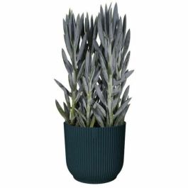 Elho ELH8711904494407 Maceta Redonda de Plástico Negra para Flores Ø45 cm