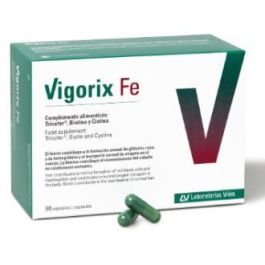 Vigorix Fe 90 Cápsulas Precio: 39.5000001. SKU: B16RQG68SZ