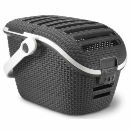 Curver Cesta de transporte para gatos de seguridad, con asa sólida y fácil sujeción con cinturón de seguridad, gris antracita Precio: 57.79000051. SKU: B1JDL3CZTZ