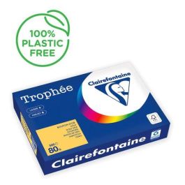 Papel De Color A4 Clairefontaine Trophee 80G 500H Pastel Boton De Oro 5 unidades Precio: 46.88999986. SKU: B1JMG8FPEW