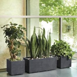 Maceta Cubo - DEROMA - Millennium R - Antracita - Con reserva de agua - 25 cm