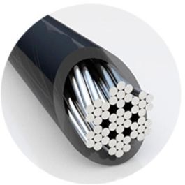 Cable de Seguridad Kensington K68102EU 1,8 m