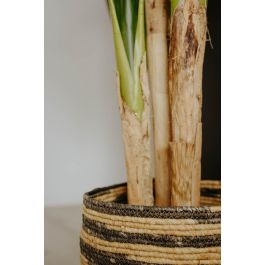 Oplante Planta Artificial Bananera 180 cm Verde Tela, Decoración para Hogar u Oficina