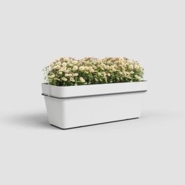 Artevasi v2 Macetero Kit Balcón Capri RE 50cm Blanco Plástico Interior Exterior 12L con Reserva de Agua Resistente a Heladas Artevasi v2 Macetero Kit Balcón Capri RE 50cm Blanco Plástico Interior Exterior 12L con Reserva de Agua Resistente a Heladas