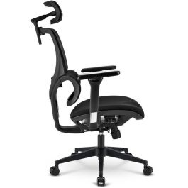 Sharkoon C40 Silla de Oficina Negra con Asiento Acolchado y Respaldo de Malla Ajustable