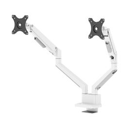 Soporte de Mesa para Pantalla Neomounts DS70-250WH2 17" 35"